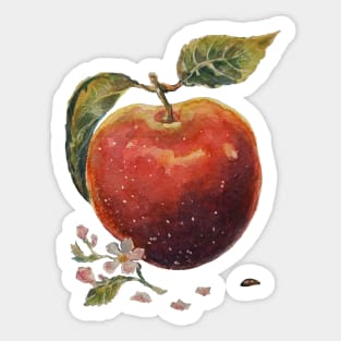 Watercolor apple Sticker